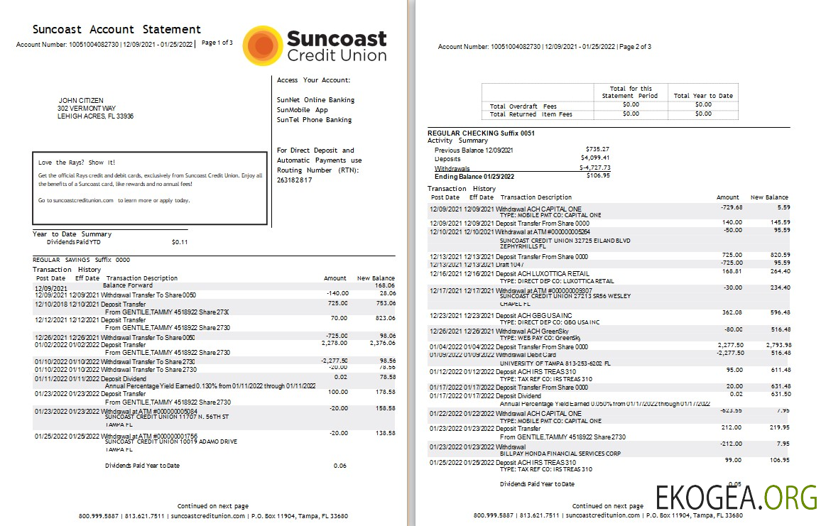 Modèle Word et PDF de relevé bancaire USA Suncoast, 3 pages
